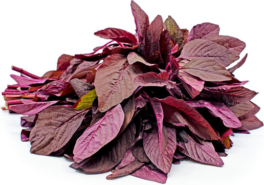 Amaranth Red Aztec Microgreens Seeds Spinach - 1250 Organic Oriental Seeds