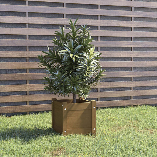 Asupermall - Garden Planter Honey Brown 31x31x31 cm Solid Pinewood