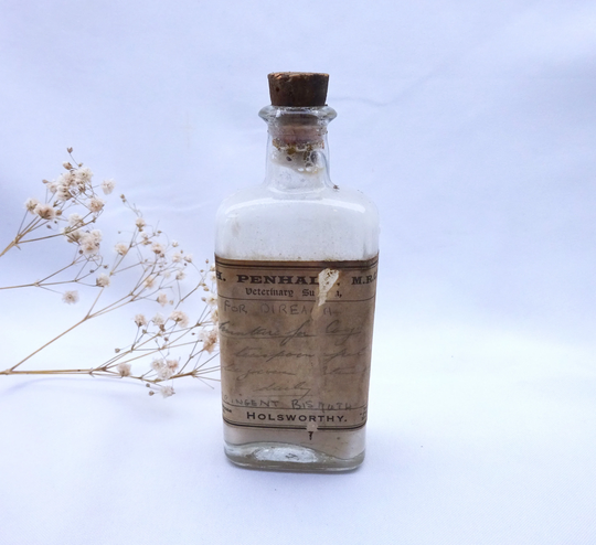 Antique Veterinary Medicine Bottle With Original Label & Contents. R. H. Penhale, Holsworthy, Astringent Bismuth, Tablespoon Measurements