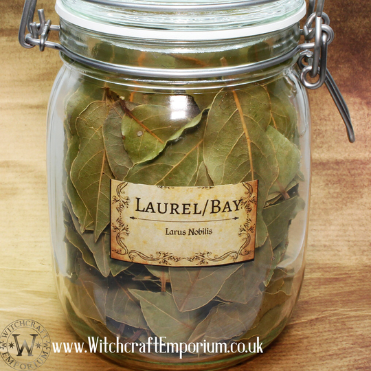 Laurel Bay - Herb Organic Natural Vegan Pagan Wicca Wiccan Spell Potion Ritual Magic Magick Energy Tea