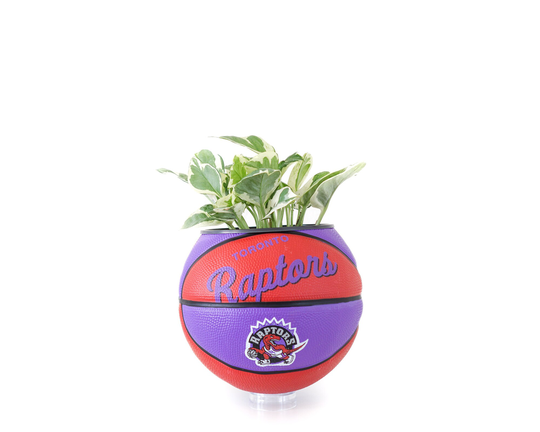 Plntrs - Wilson Raptors Hardcourt Classic Mini Basketball Planter New Ball With Stand
