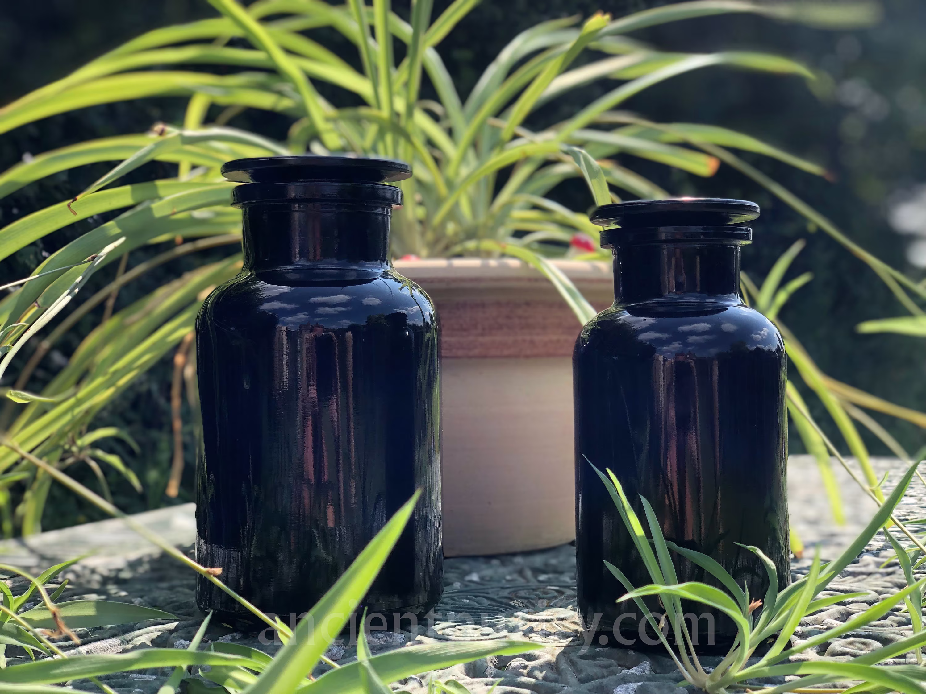 Miron Glass Apothecary Jars - 1 Litre/2 Litre Scientifically Proven Preservation Superior Storage