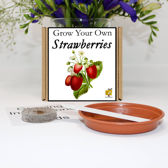 Grow Your Own Strawberry Plant Gift Set