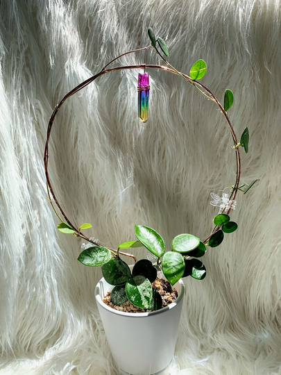 Hammered Copper & Rainbow Quartz Trellis, Pride Month, Hoya Small Trellis