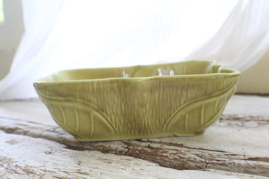Vintage Planter, Ceramic Indoor Planter, Succulent Gift For Him, Husband Gift, Boyfriend Plant Burst Of