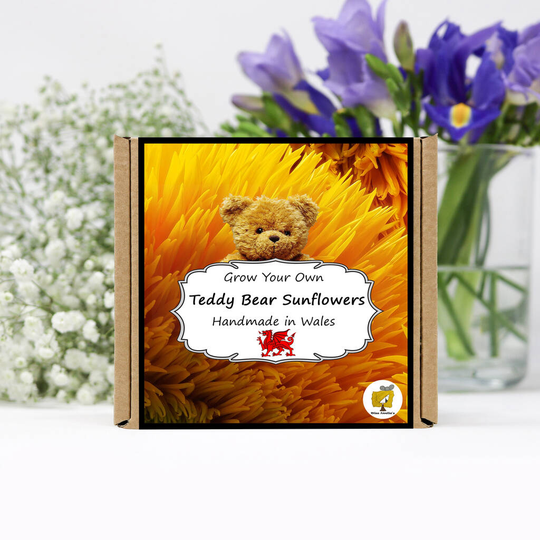 Grow Your Own Teddy Bear Sunflower Plant Kit