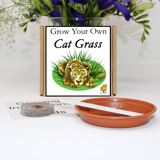 Grow Your Own Cat Grass Gift Set