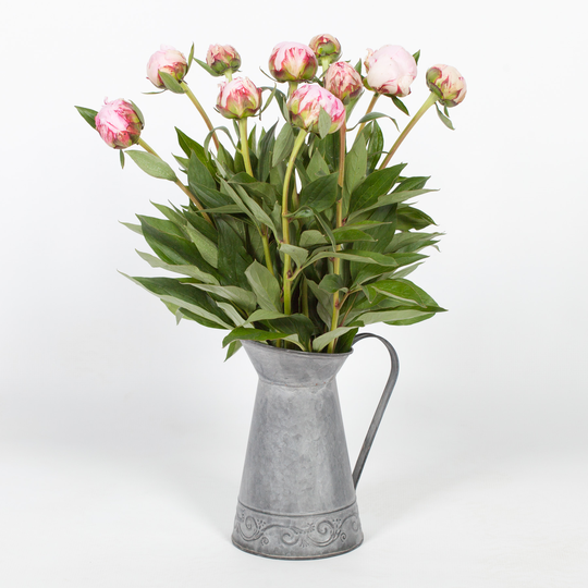 Vintage Planter Pot