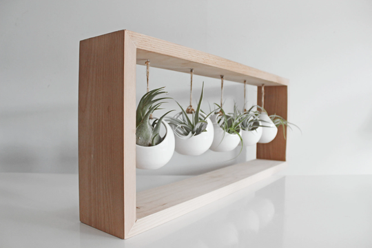 Succulent Wall Planter | Hanging Air Plant Display Gift