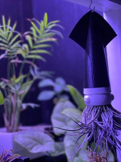 Squid Airplant Holder