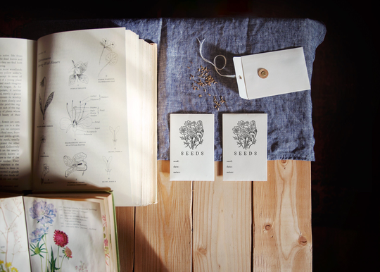 Cosmos Seed Stamp, Custom Packet Cut Flowers Labeling From The Garden Of, Vintage Packet, Cosmo