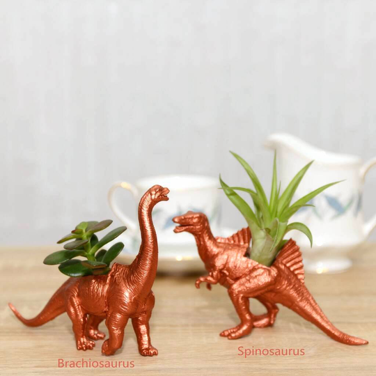 Set Of Two Hand Painted Dinosaur Planter