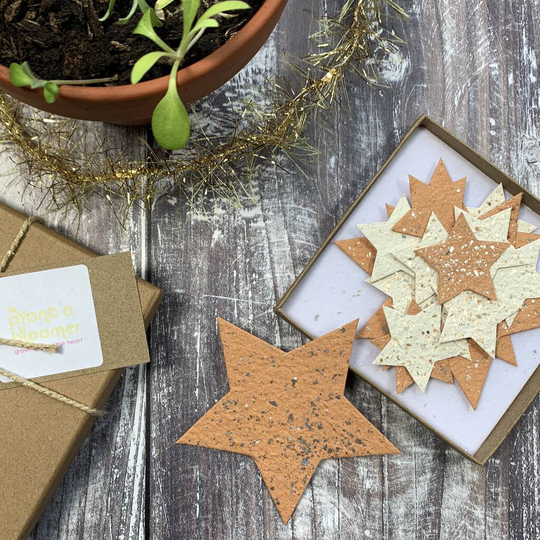 Stars Seed Paper Festive Letterbox Gift
