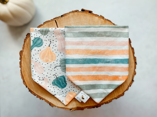 Pastel Gourds Reversible Dog Bandanas | Pumpkin Squash Fall Season Venturepupshop
