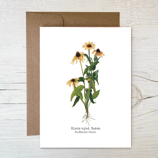 Plantable Wildflower Seed Card ~ Botanical Painted Image Of Black-Eyed Susan Eco Friendly Blank