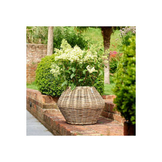 The Studley Company - Levisham Round Rattan Planter