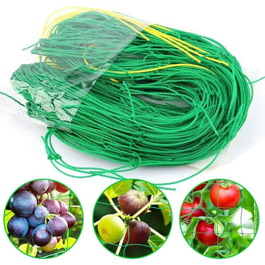 Garden Trellis 1.8 x 1.8M Plant Trellis Green Garden Net Garden Plant Net, Pea Climbing Net For Climbing Plants Beans Fruits Clematis Cucumbers