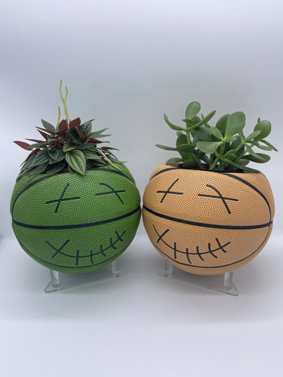 Cactus Jack Mini Basketball Planter/Indoor Size