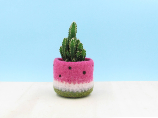 Watermelon Vase/Felt Succulent Planter Coworker Christmas Gift Felted Cactus Housewarming For Her