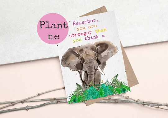 Plantable Seed Cards - Plantable Greetings Cards Eco & Vegan Friendly
