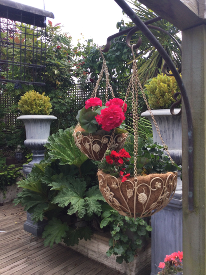 A Set Of 2 Cream Coloured Metal Hanging Baskets For Summer Planting