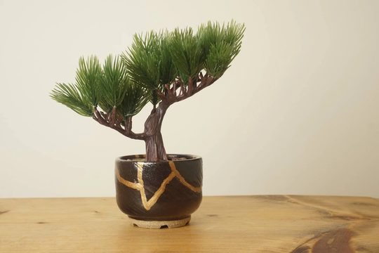 Bonsai Pot. Miniature Black Bonsai Kintsugi Effect. Handmade Wheel Thrown Studio Pottery. G402O