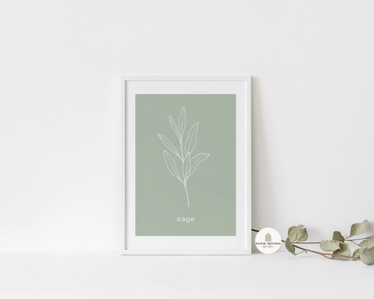 Sage Herb Line Drawing Wall Art Print | Unframed Print A3/A4/A5 Prints Home Decor Kitchen
