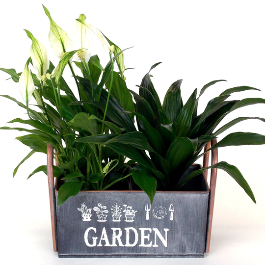 Brushed Zinc 2 Bay Metal Planter - Indoor Or Garden Use, Herb Planter, Windowsill