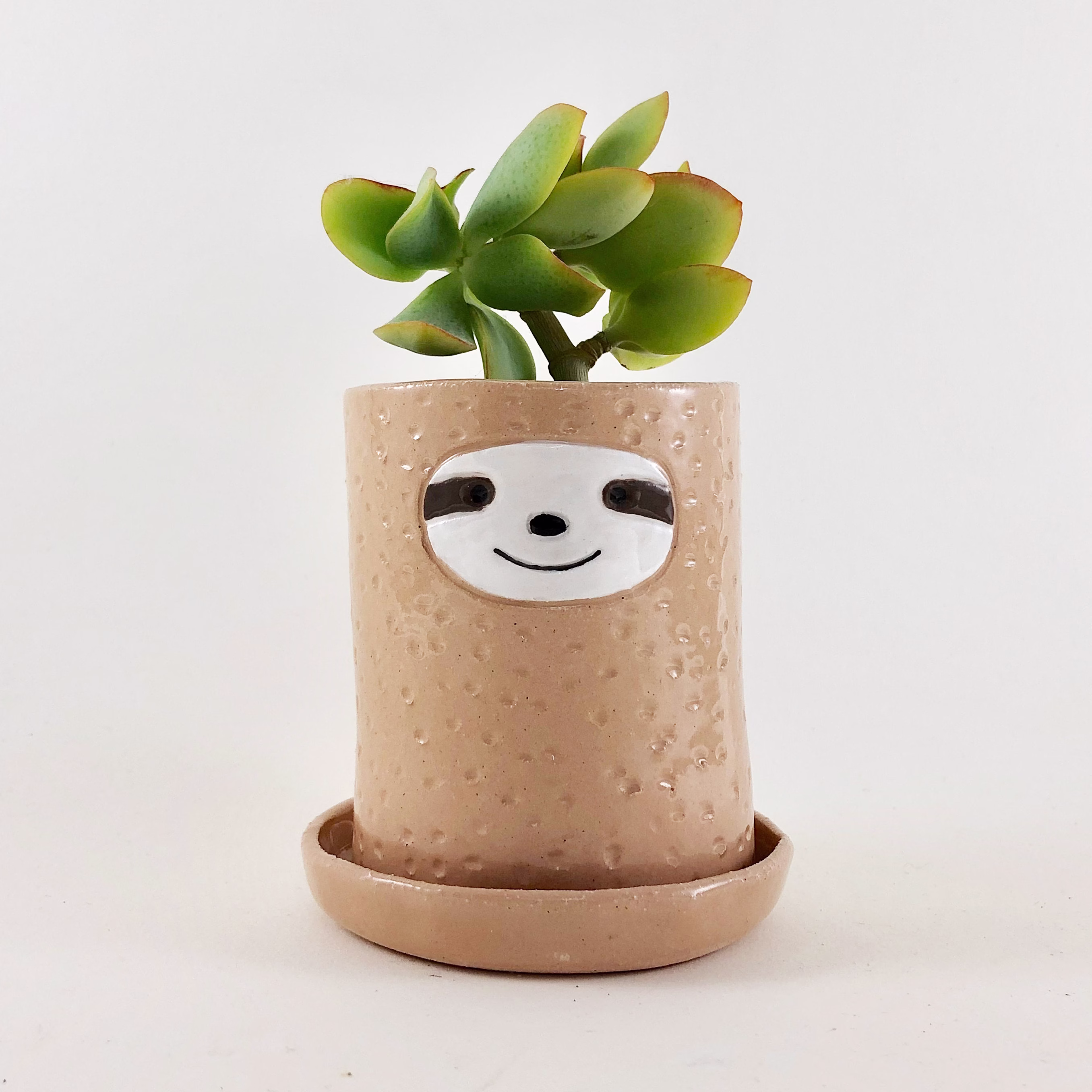 Sloth Planter, Ceramic Succulent Pot, Cacti Sculpture, Planter