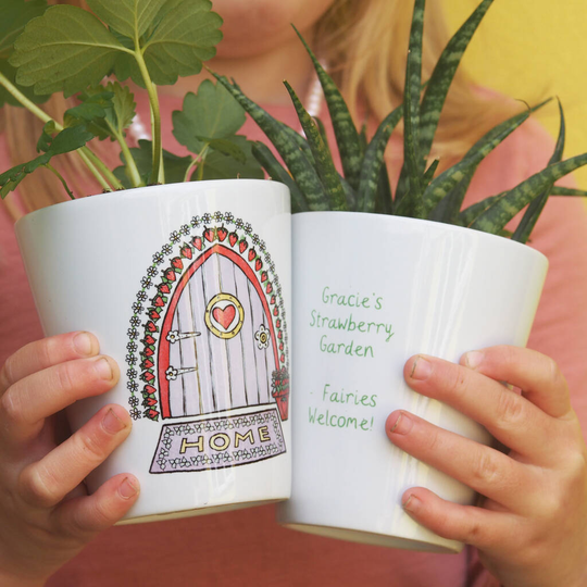 Strawberry Fairy Door Plant Pot With Strawberry Seeds