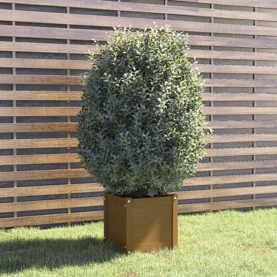 Asupermall - Garden Planter Honey Brown 40x40x40 cm Solid Pinewood