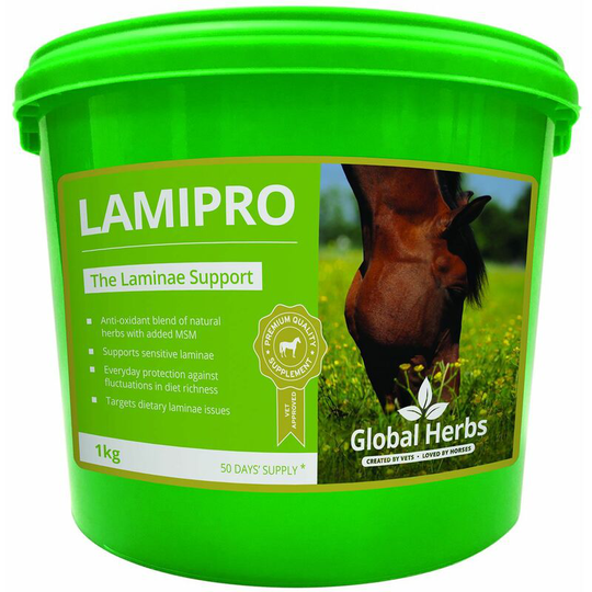 Lamipro Powder - 1 Kg - LAMIPROSUPP1KG - Global Herbs