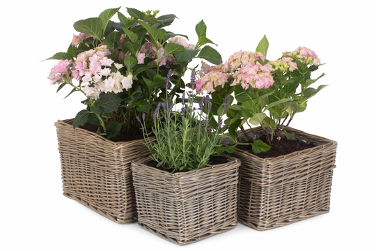 Square Wicker Planters Baskets For Indoor Or Outdoor Use