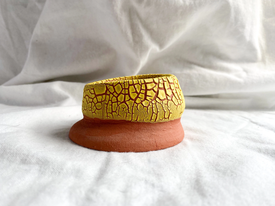 Small Yellow Drip Planter