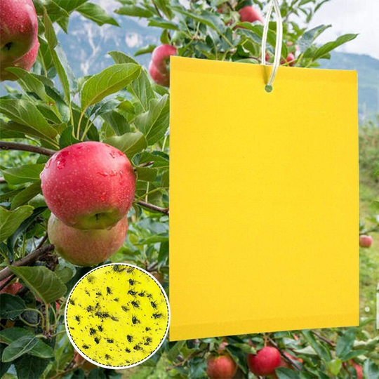 Insect Traps, 50 Double Sided Sticky Paper, Yellow Sticky Papers for White Fly Sheet for Insect Repellent Anti White Fly Sheet, Moths Garden Plant