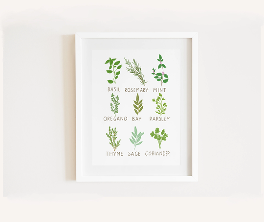 Herbs Kitchen Wall Art, Decor, Herb Print, Botanical, Culinary Illustration, Poster