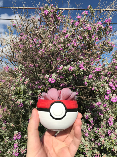 Ball Succulent Planter | Office Decor Home Modern 3D Printed With Drainage Indoor