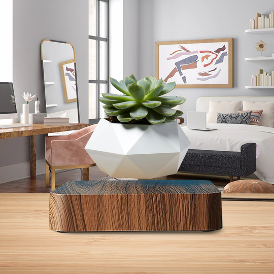 Levitating Plant Floating Pot Magnetic Planter 360-Degree Rotation - Home Desk Office Indoor Succulent Bonsai Maceta Flotante