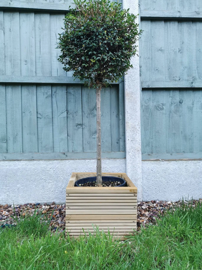 Square Planter - Free Delivery, Small Planter, Wooden Planter, Outdoor Garden Cube