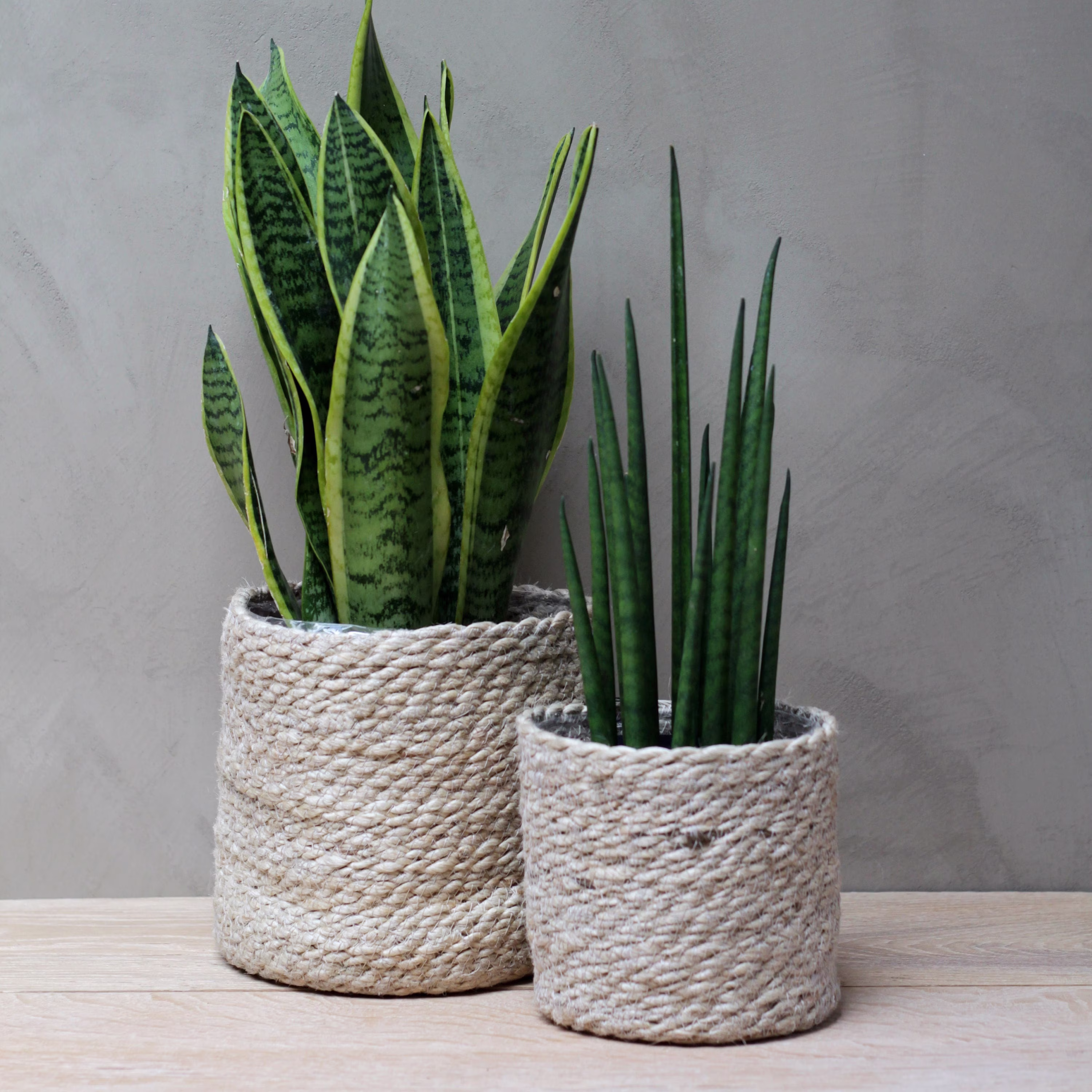 Natural Jute Planters