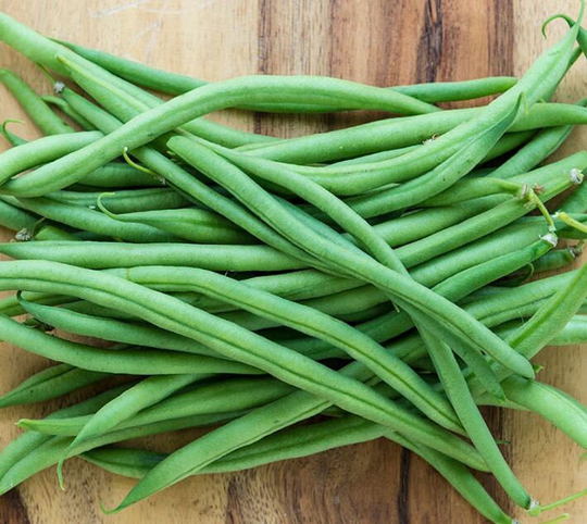 Top Crop Green Bean Seeds - Bush Organic & Non Gmo Beans Heirloom Fresh Usa Grown Grow Your Own At Home