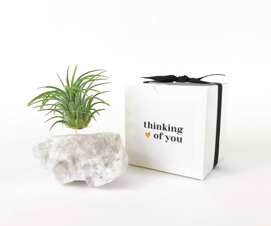 Meaningful "Thinking Of You
