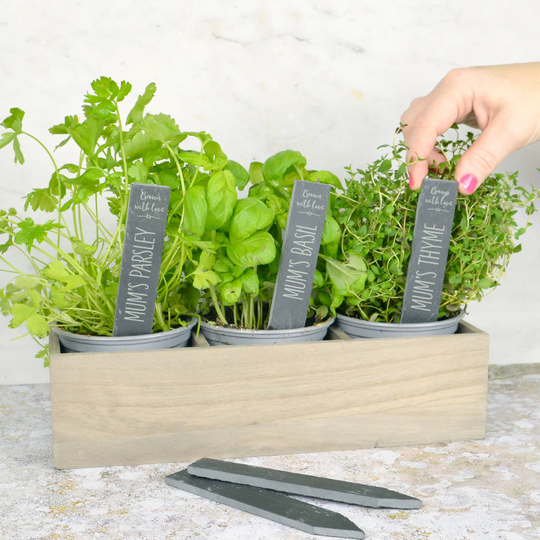 Personalised Slate Herb Plant Markers