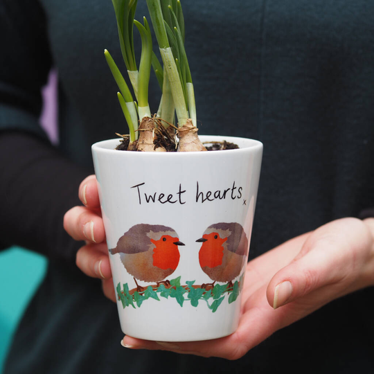 Robin Couple Plant Pot With Seeds