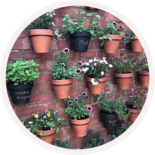 Pot Ups Plant Hanger Rings Pack Of 6 Black Holders To Fit 6