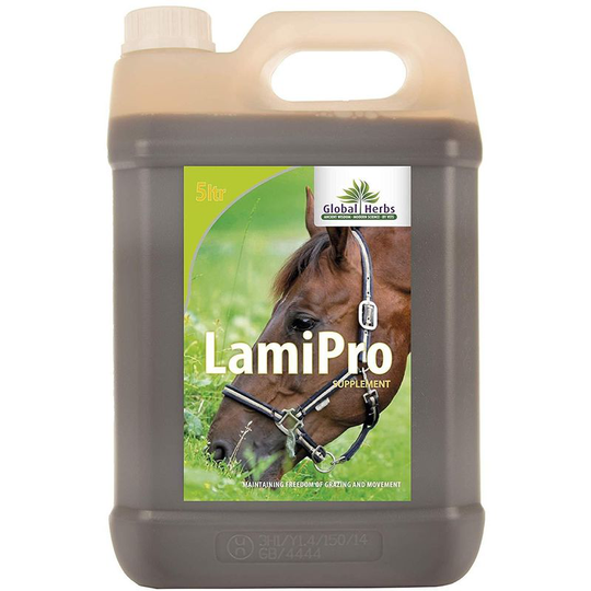 Global Herbs - LamiPro (500ml) (Brown) - Brown
