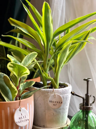 Punny Plant Tags, Indoor Accessories, Tag, Plant Lover Gift, Gift