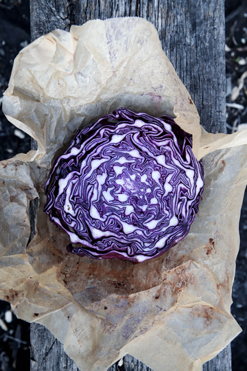 Cabbage -Red Acre - Seeds, Brassica Oleracea Var. Capitata, Certified Organic, Heirloom, Non-Gmo, Open Pollinated, U.s. Origin, Red Cabbage