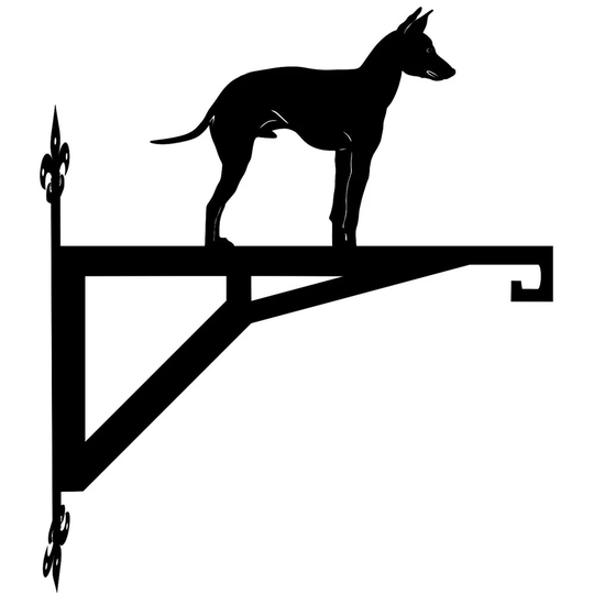 English Toy Terrier Modern Contemporary Hanging Bracket