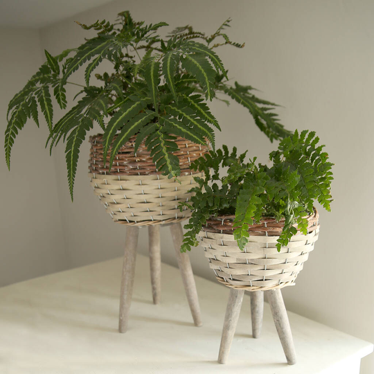 Wicker Planter With Legs